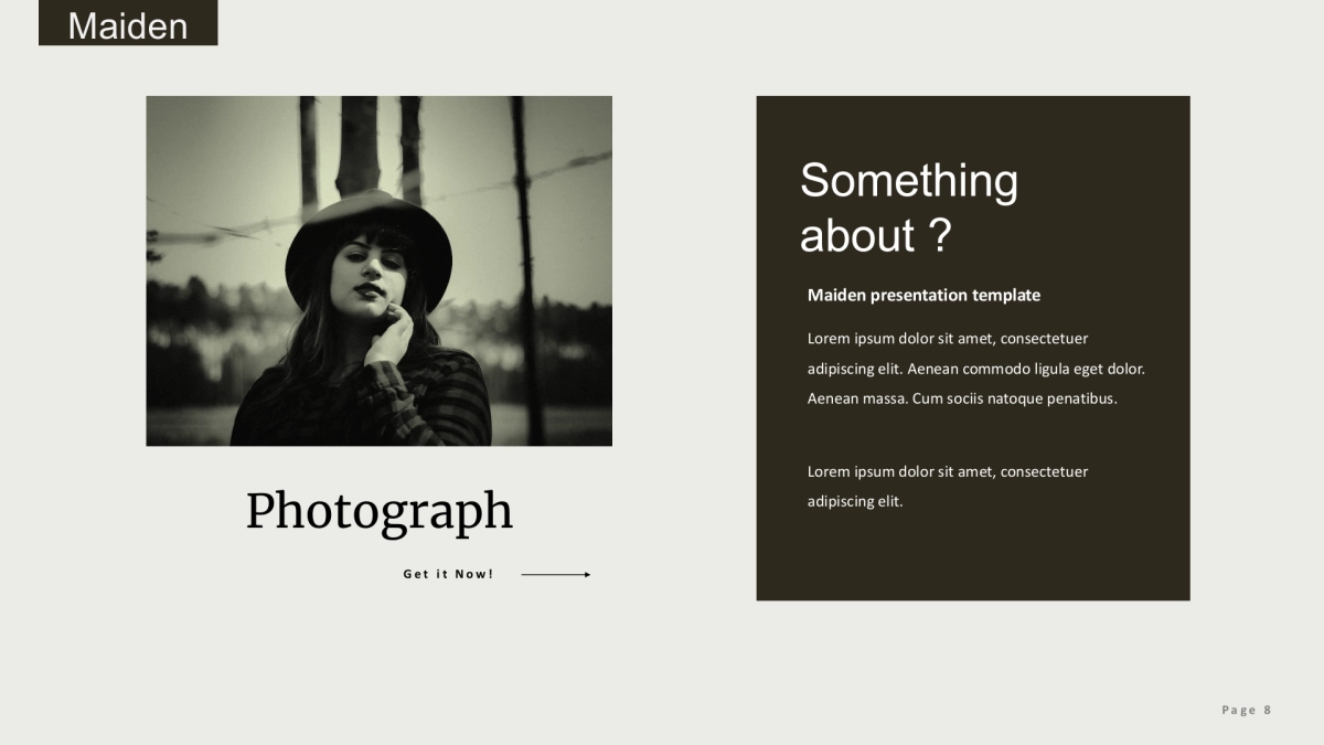 (81)莫兰迪PPT_第8页