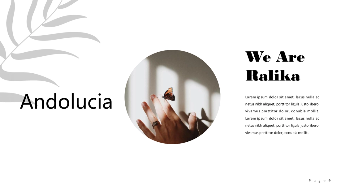 (82)莫兰迪PPT_第9页