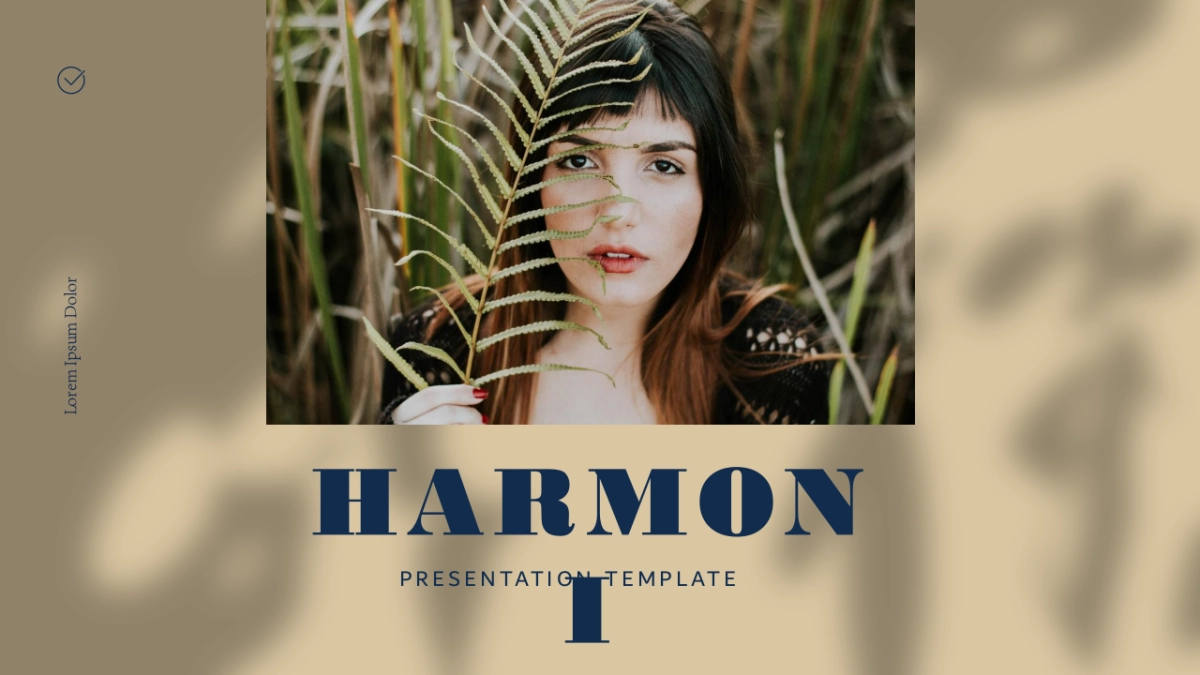 （84）莫兰迪PPT_第1页