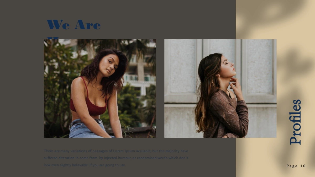 （84）莫兰迪PPT_第10页