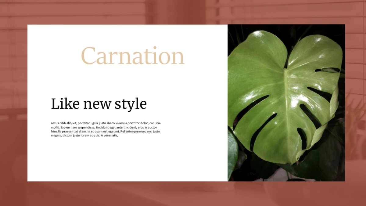 （85）莫兰迪PPT_第10页