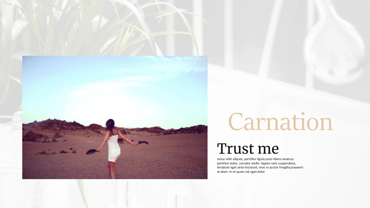 （85）莫兰迪PPT_第9页