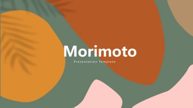 （86）莫兰迪PPT