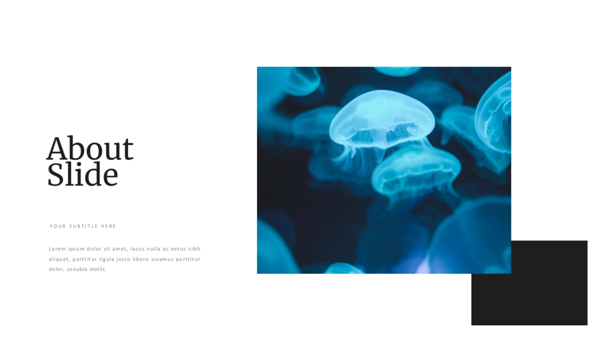 极简 (34)_第10页