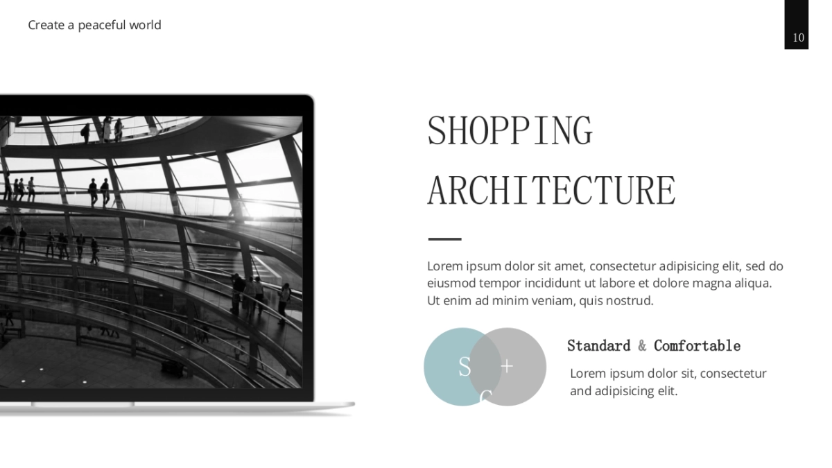 高端 (87)_第10页