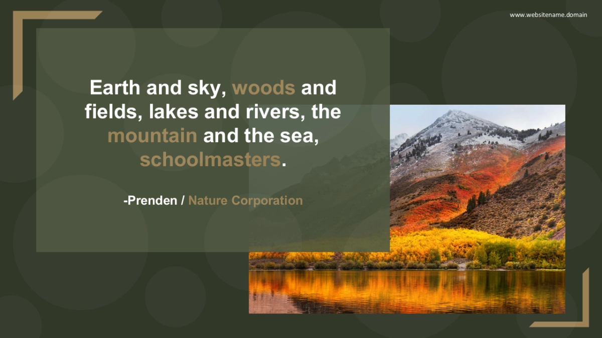 高端 (109)_第2页