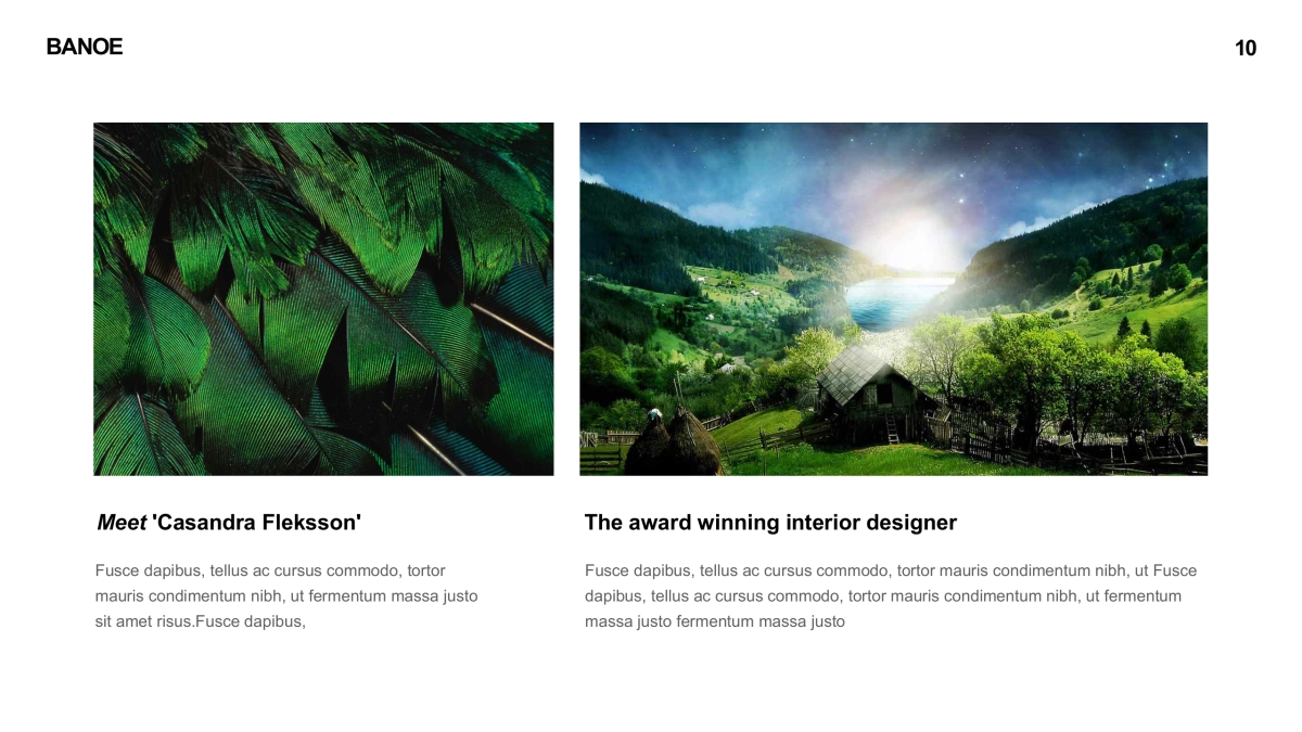 高端 (111)_第10页