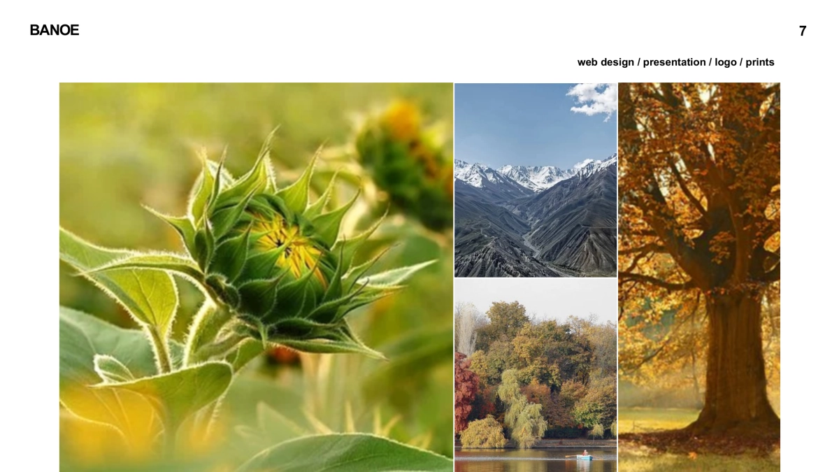 高端 (111)_第7页