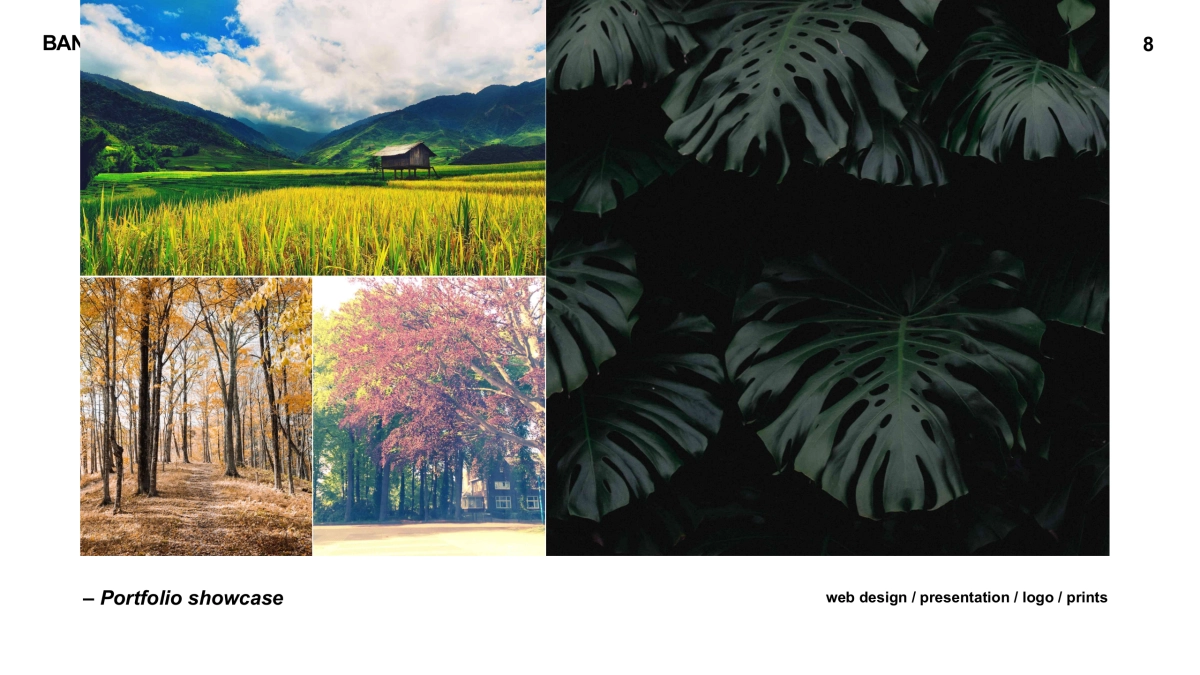 高端 (111)_第8页