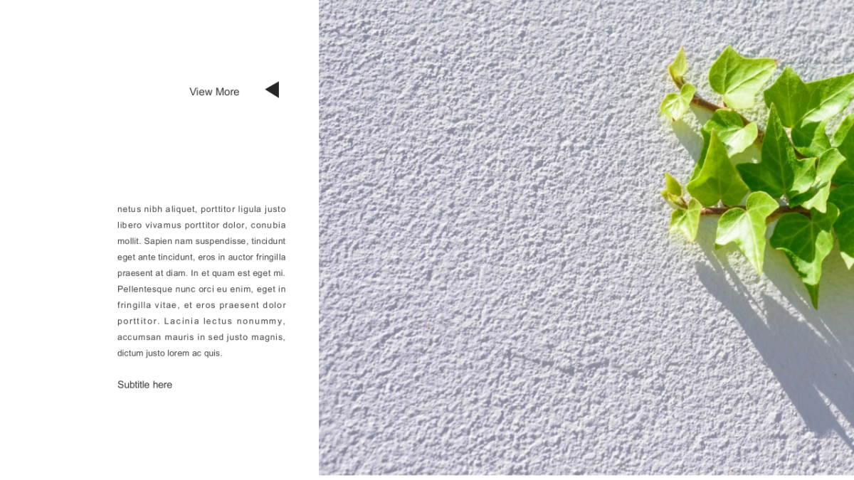 高端 (112)_第3页