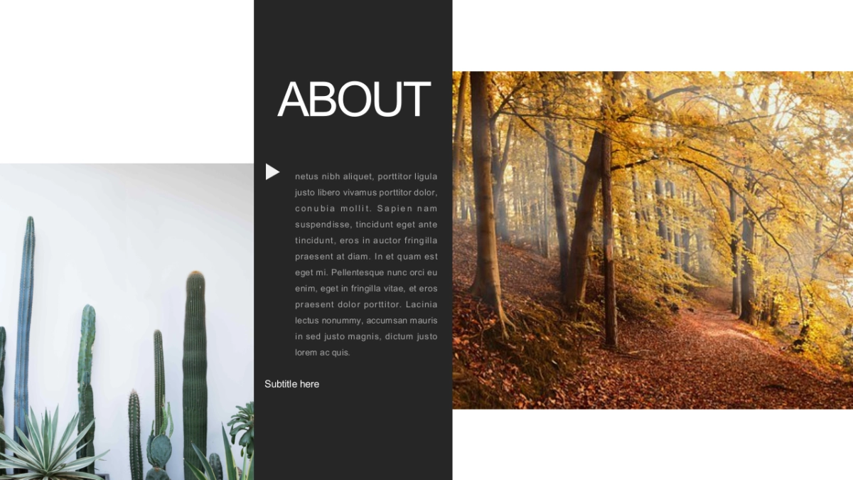 高端 (112)_第4页