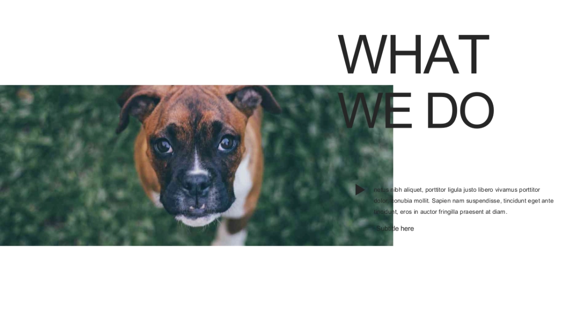 高端 (112)_第7页