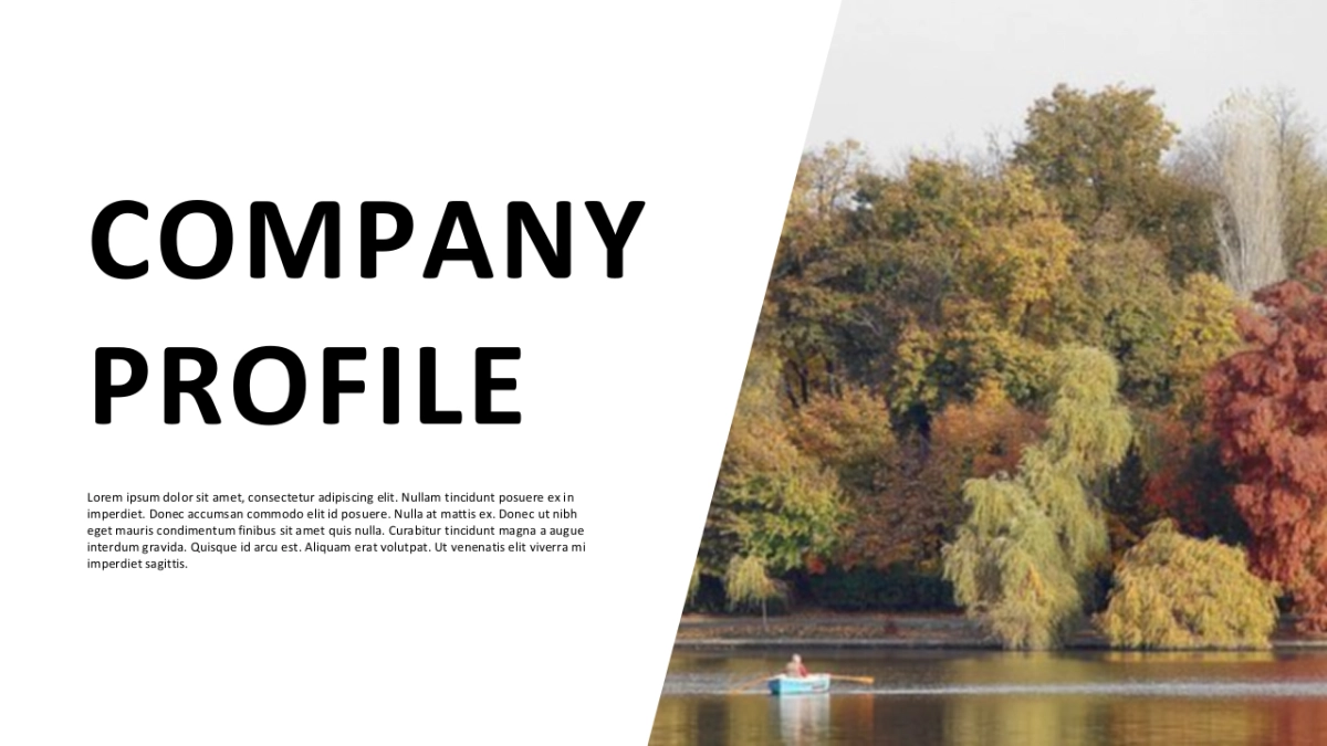 高端 (113)_第4页