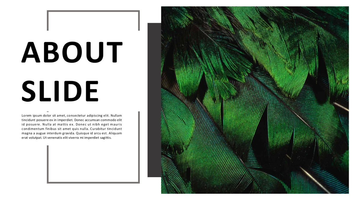 高端 (113)_第5页