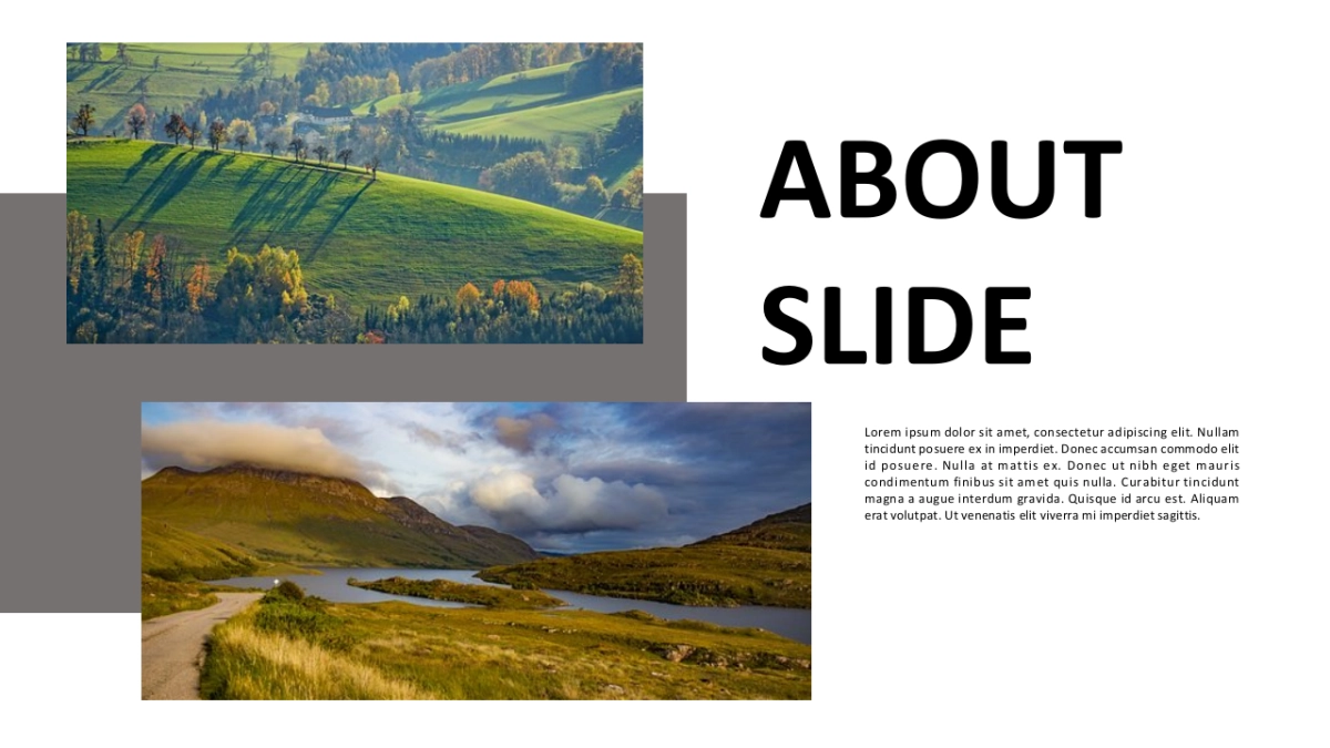 高端 (113)_第7页