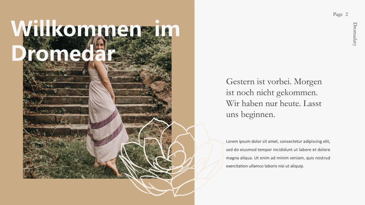 高端设计(22)---营销星球_第2页