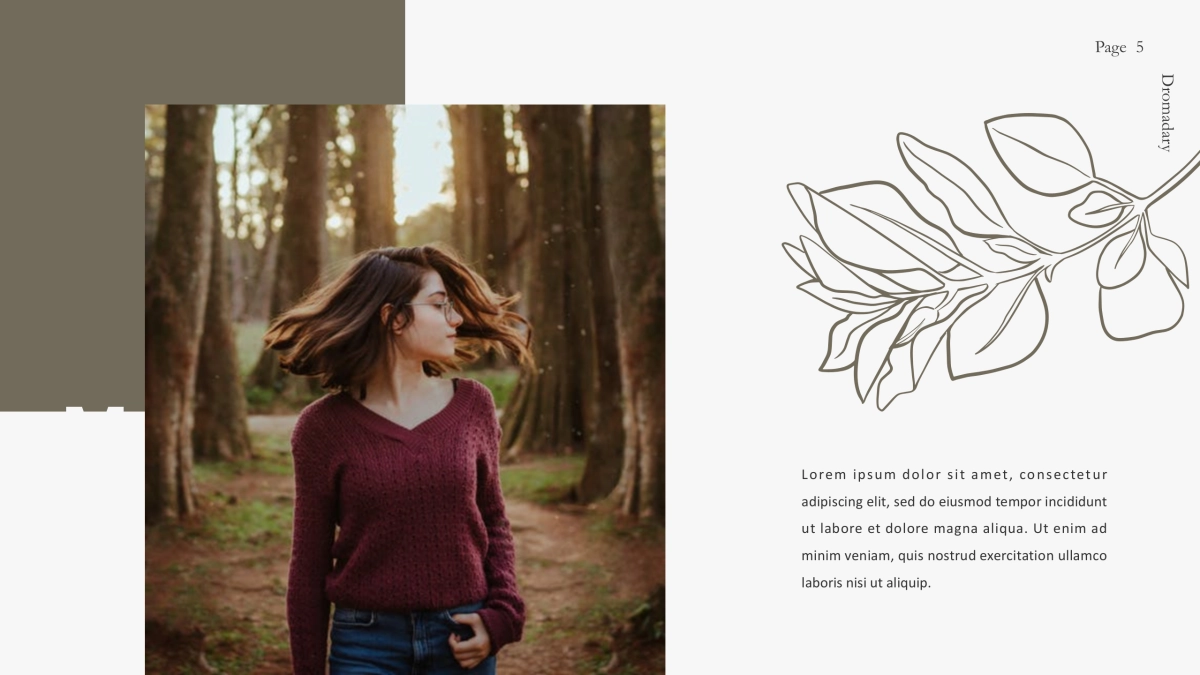 高端设计(22)---营销星球_第5页