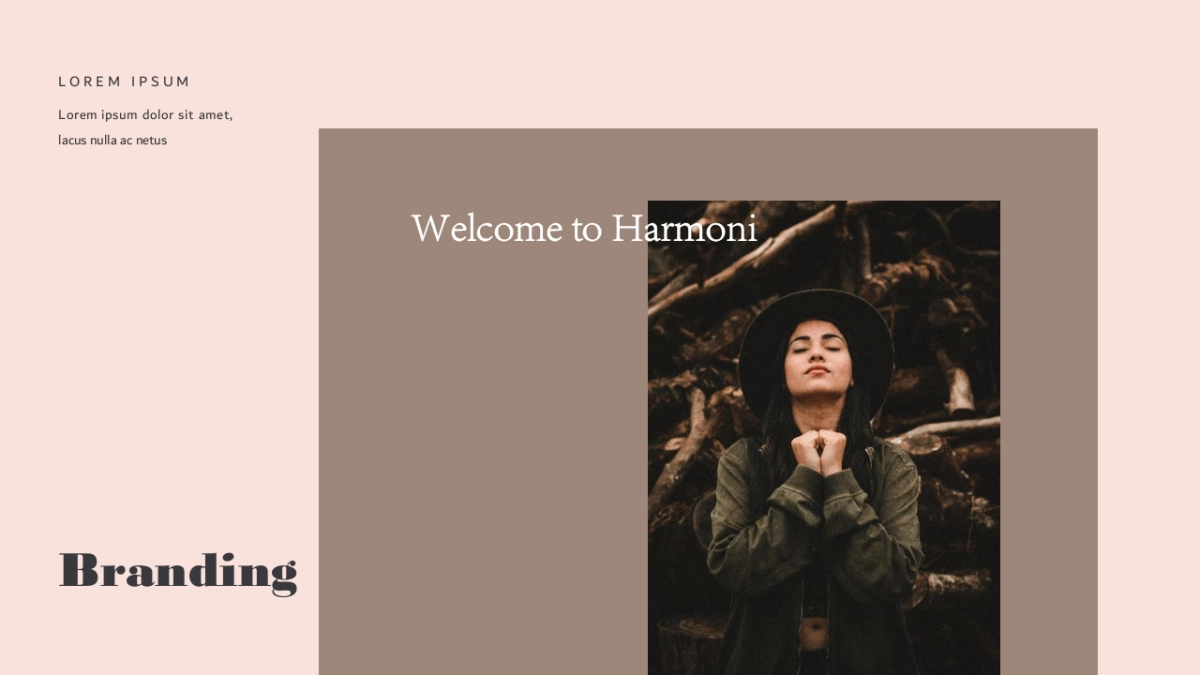 高端设计（23）---营销星球_第3页