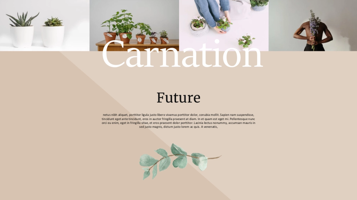 高端设计(24)---营销星球_第8页