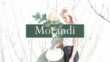 高端设计（24）---营销星球