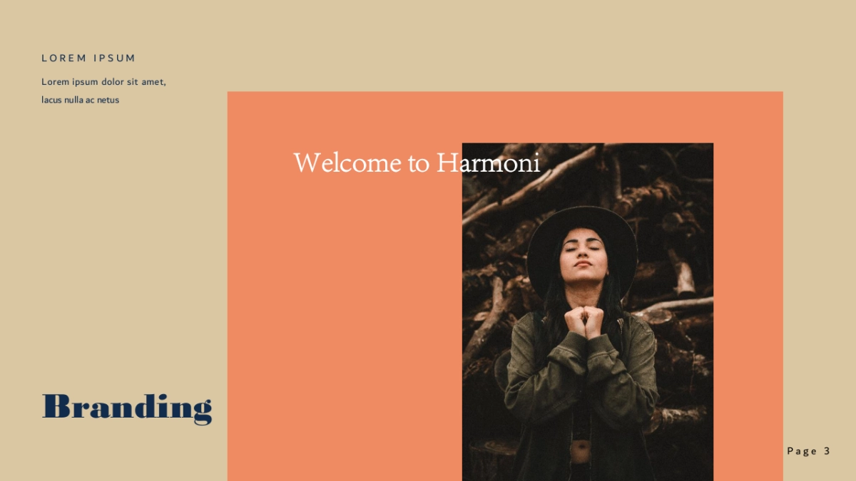 高端设计（33）---营销星球_第3页