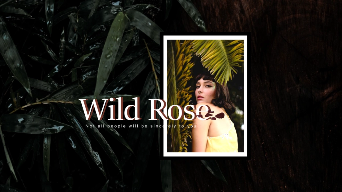 高端设计（37）---营销星球_第1页