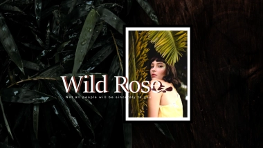 高端设计（37）---营销星球