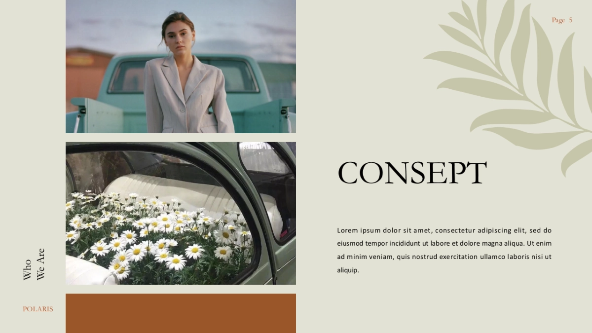 高端设计（58）---营销星球_第5页