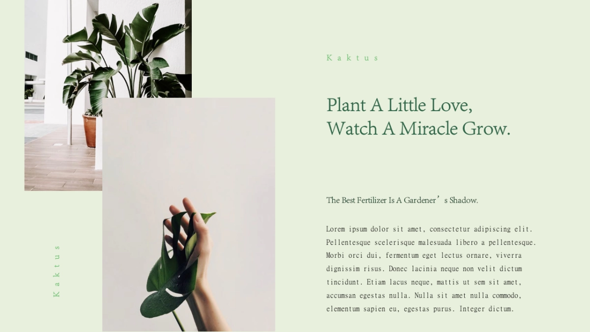 高端设计（65）---营销星球_第6页