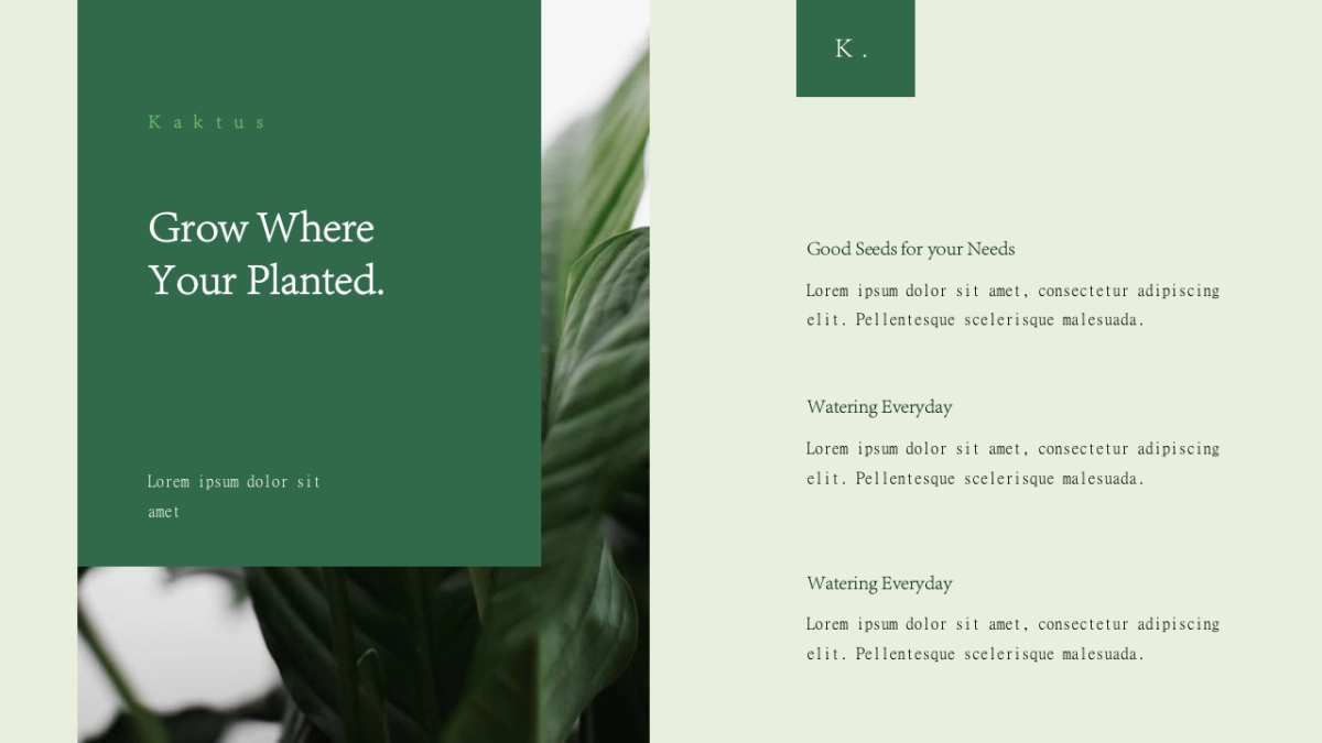 高端设计（65）---营销星球_第7页