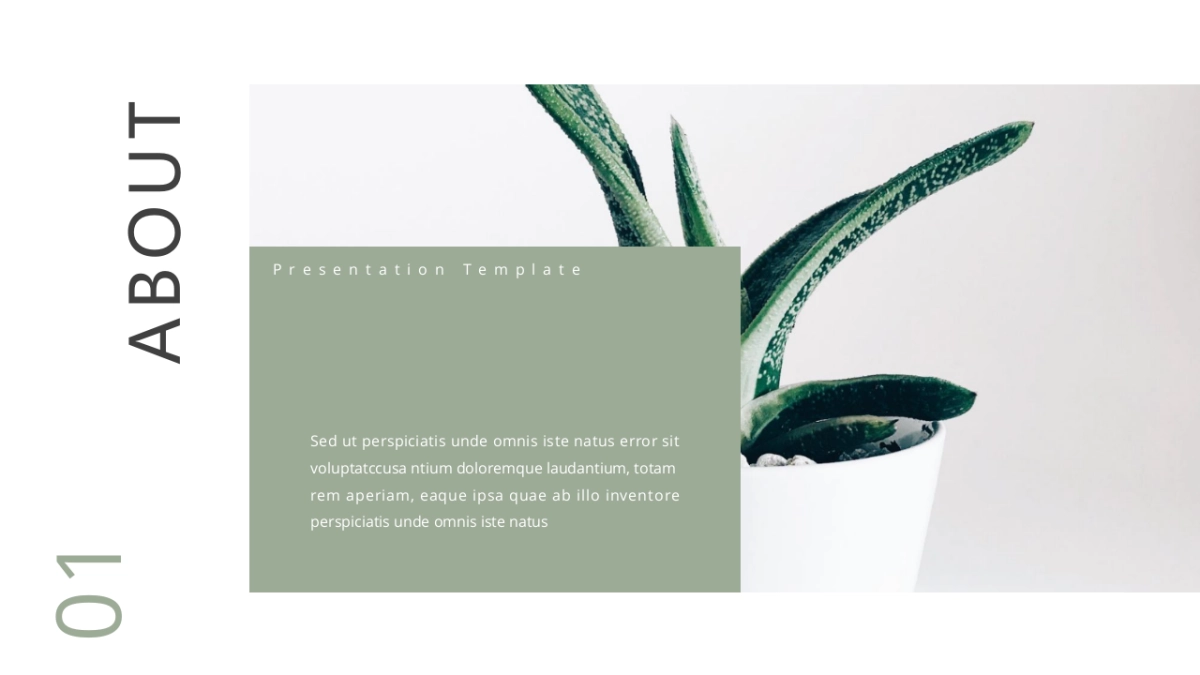 高端设计（69）---营销星球_第2页