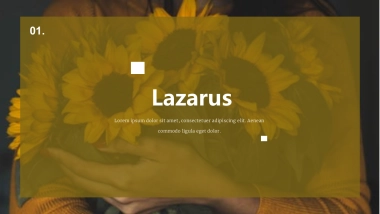 高端设计（72）---营销星球