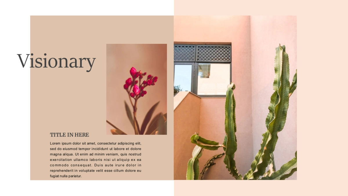 高端设计（75）---营销星球_第6页