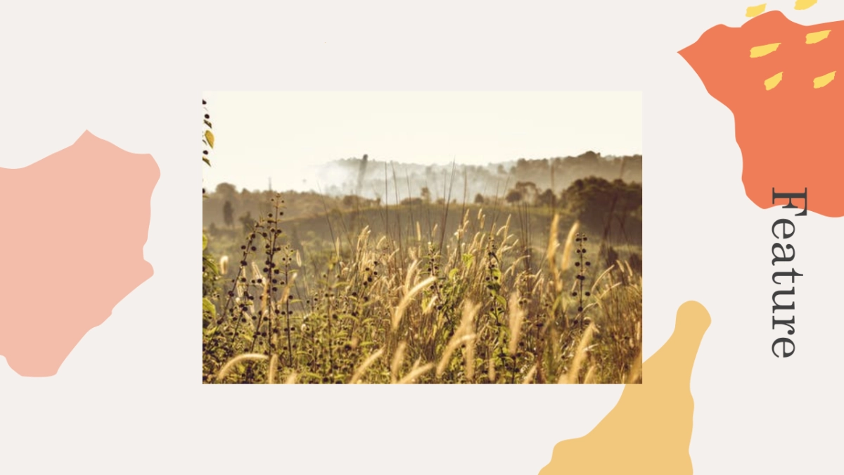 高端设计（84）---营销星球_第8页