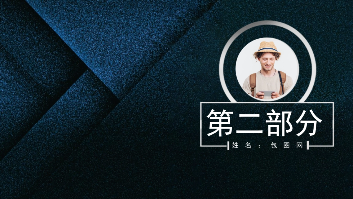 (5)作品简历_第10页