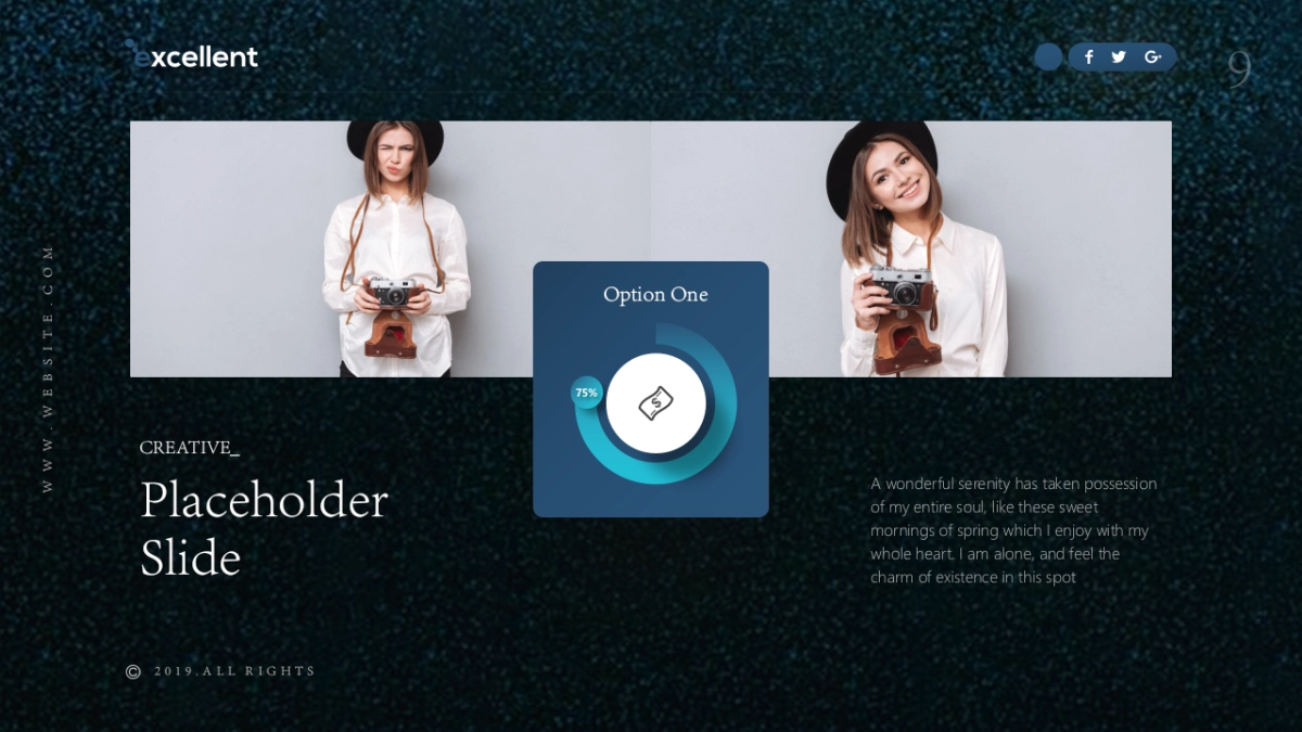 (5)作品简历_第9页