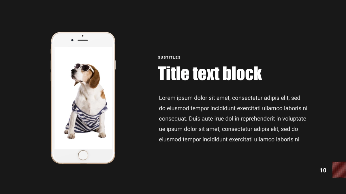 (6)作品简历_第10页