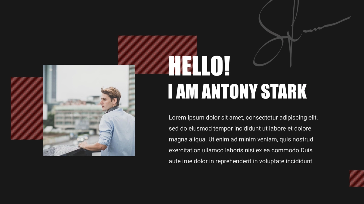 (6)作品简历_第4页