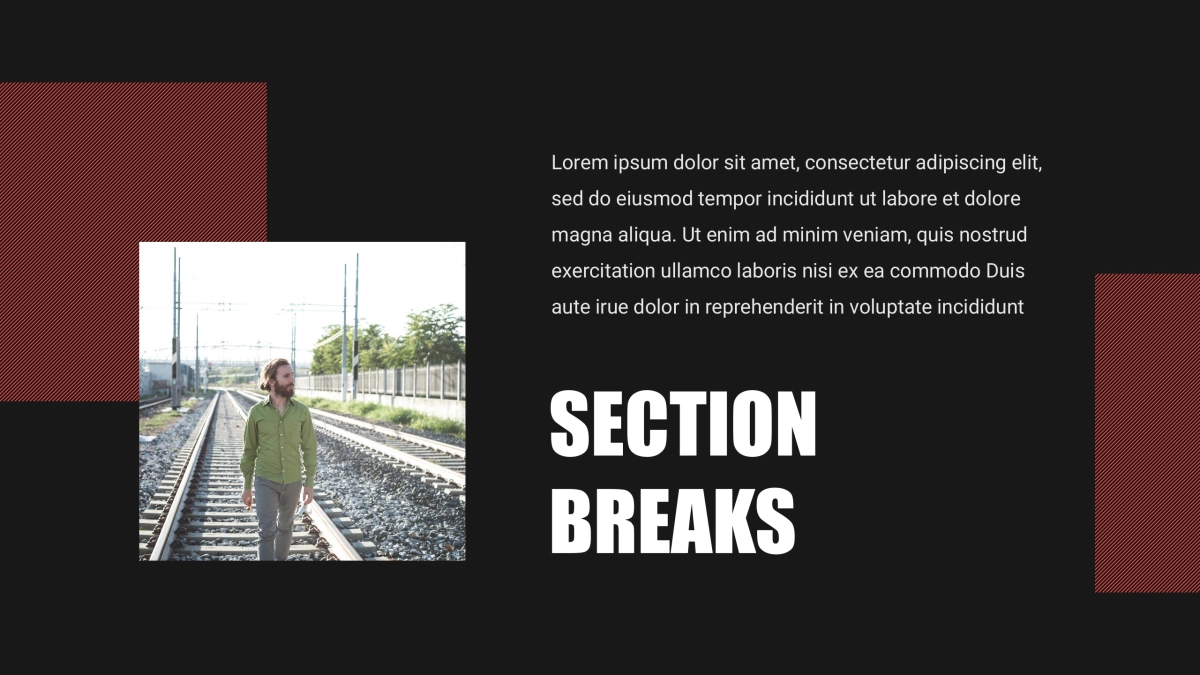 (6)作品简历_第9页