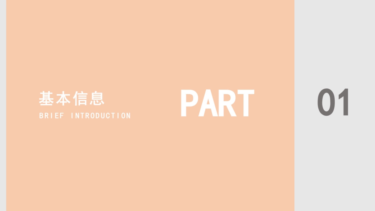 (13)作品简历_第3页