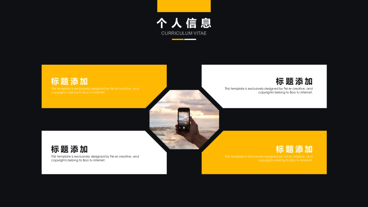 (18)作品简历_第9页