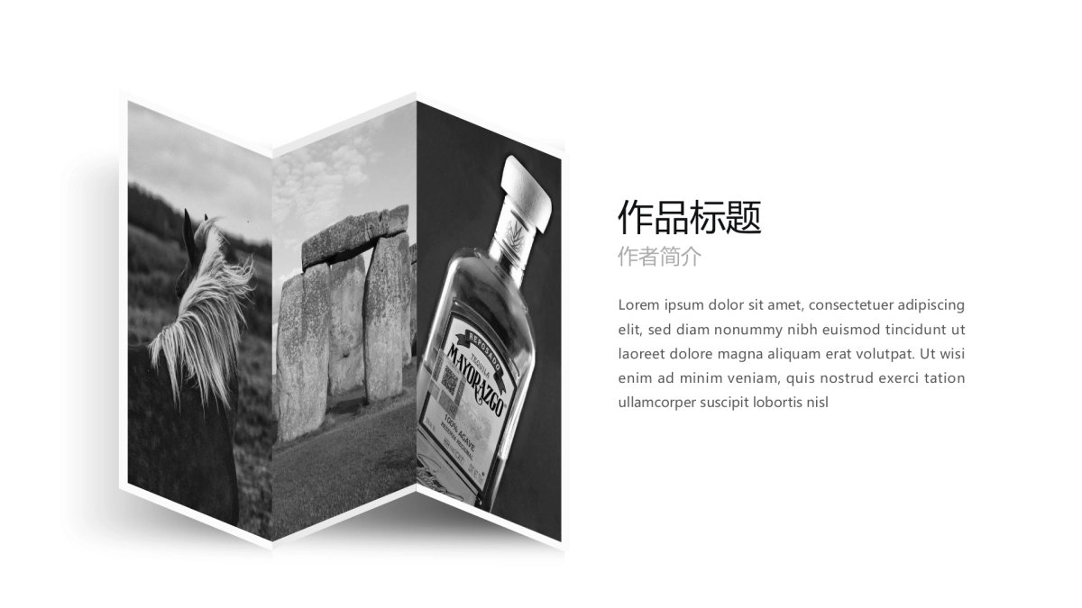 18作品简历_第10页