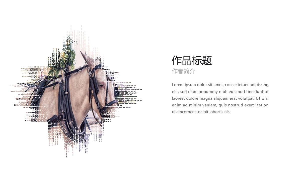 18作品简历_第5页