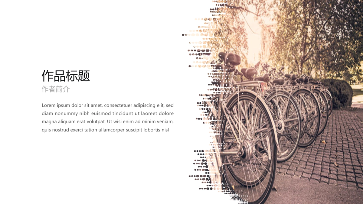 18作品简历_第6页