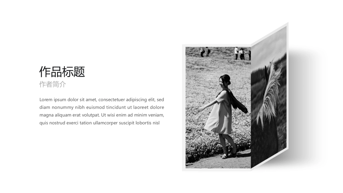 18作品简历_第9页