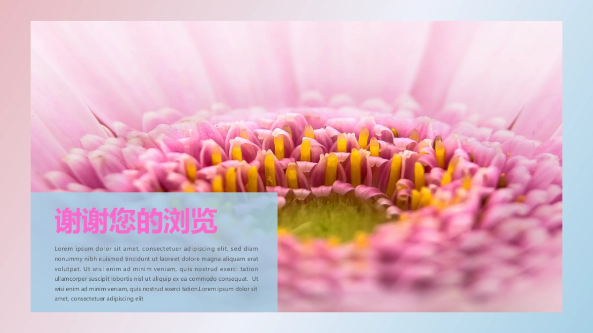 26作品简历_第10页