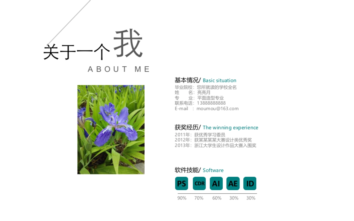 27作品简历_第2页