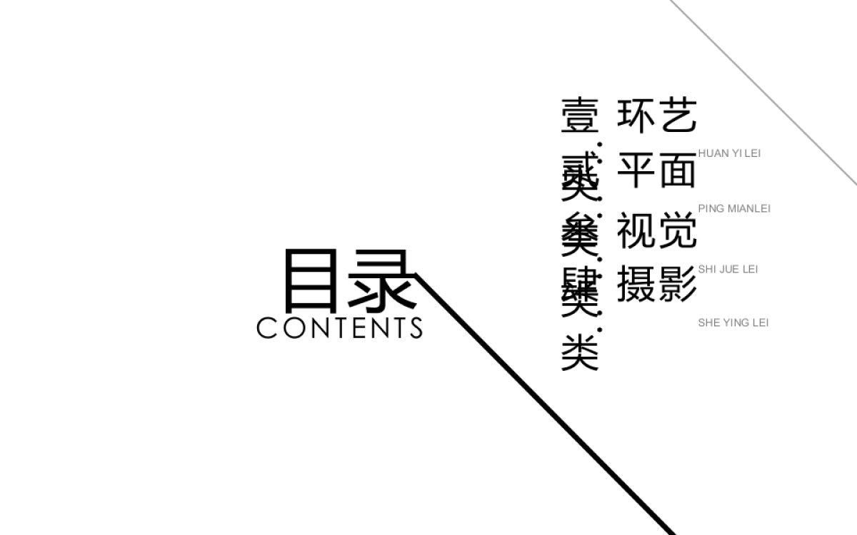 27作品简历_第3页