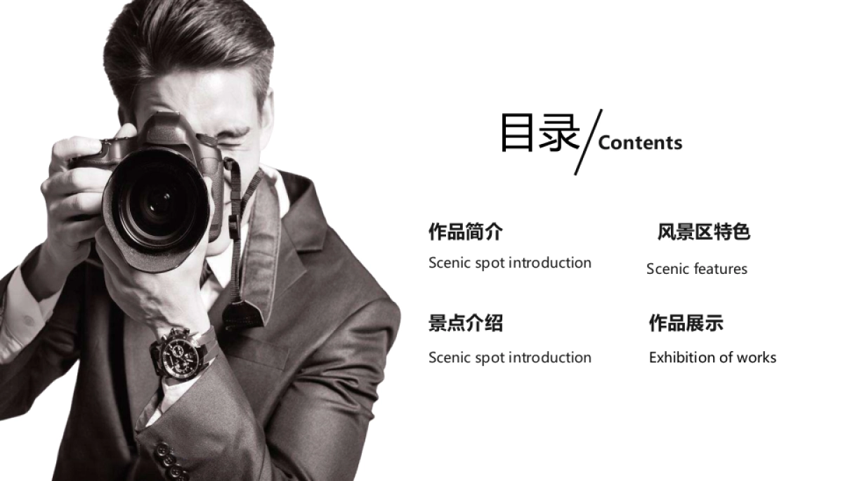 28作品简历_第2页