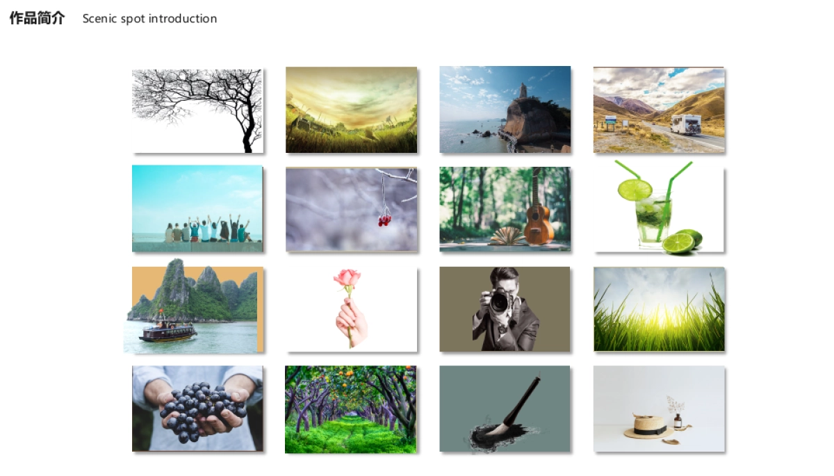 28作品简历_第4页